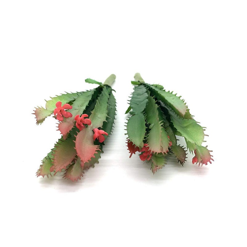 EBUYOM 2 PCS Mini Artificial Succulents Plants Unpotted Faux Cactus Fake Succulent Bouquet Arrangements Faux Plants DIY for Garden Decor Home Decoration Greenery Set (Mini Cactus) - Image 4